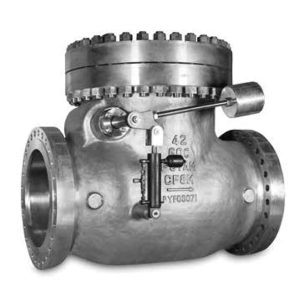 Válvula de retención de servicio severo AMPO